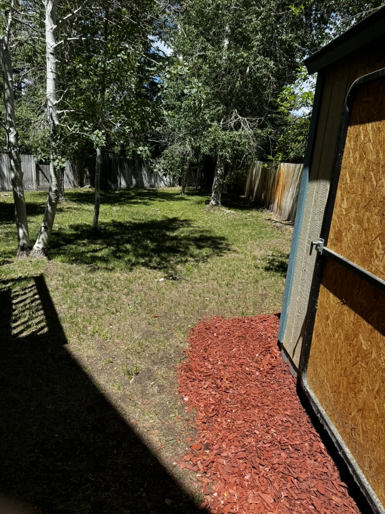 Expansive backyard featuring mature trees, a manicured lawn, and a wooden privacy fence