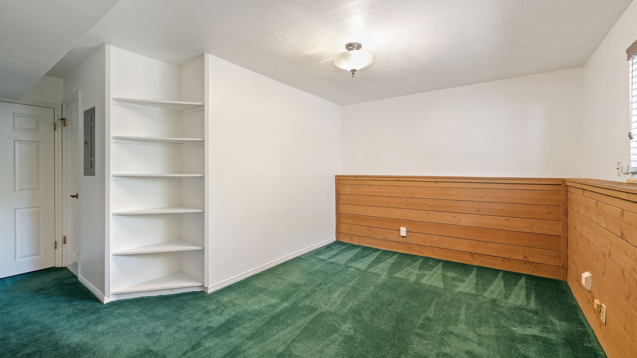 Room featuring built-in shelving, wood paneling, and green carpeting