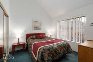 Room featuring a vaulted ceiling, large window with vertical blinds, and wall-to-wall carpeting