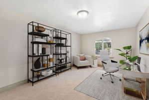 Bright room featuring a curved top window with plantation shutters, neutral wall tones, and plush carpet flooring