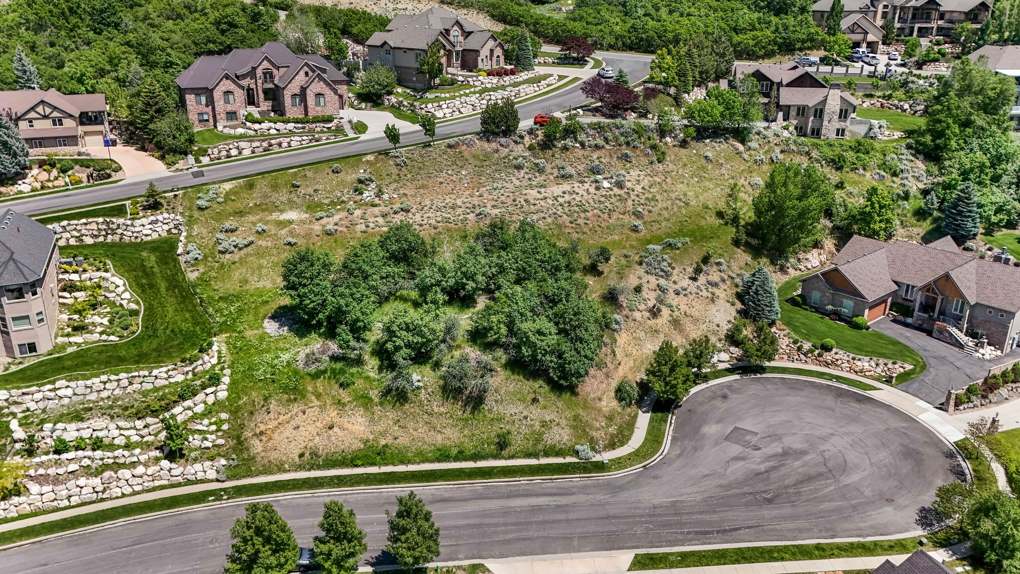 Expansive undeveloped lot with natural ground cover and mature trees, bordered by paved roadways and existing homes