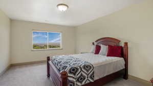 Interior room featuring neutral wall paint, light-colored carpet flooring, and a single window with outdoor scenery