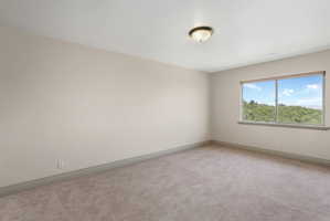 Bright interior space featuring a large window with a scenic treed hill backdrop, neutral wall paint, and plush carpet flooring