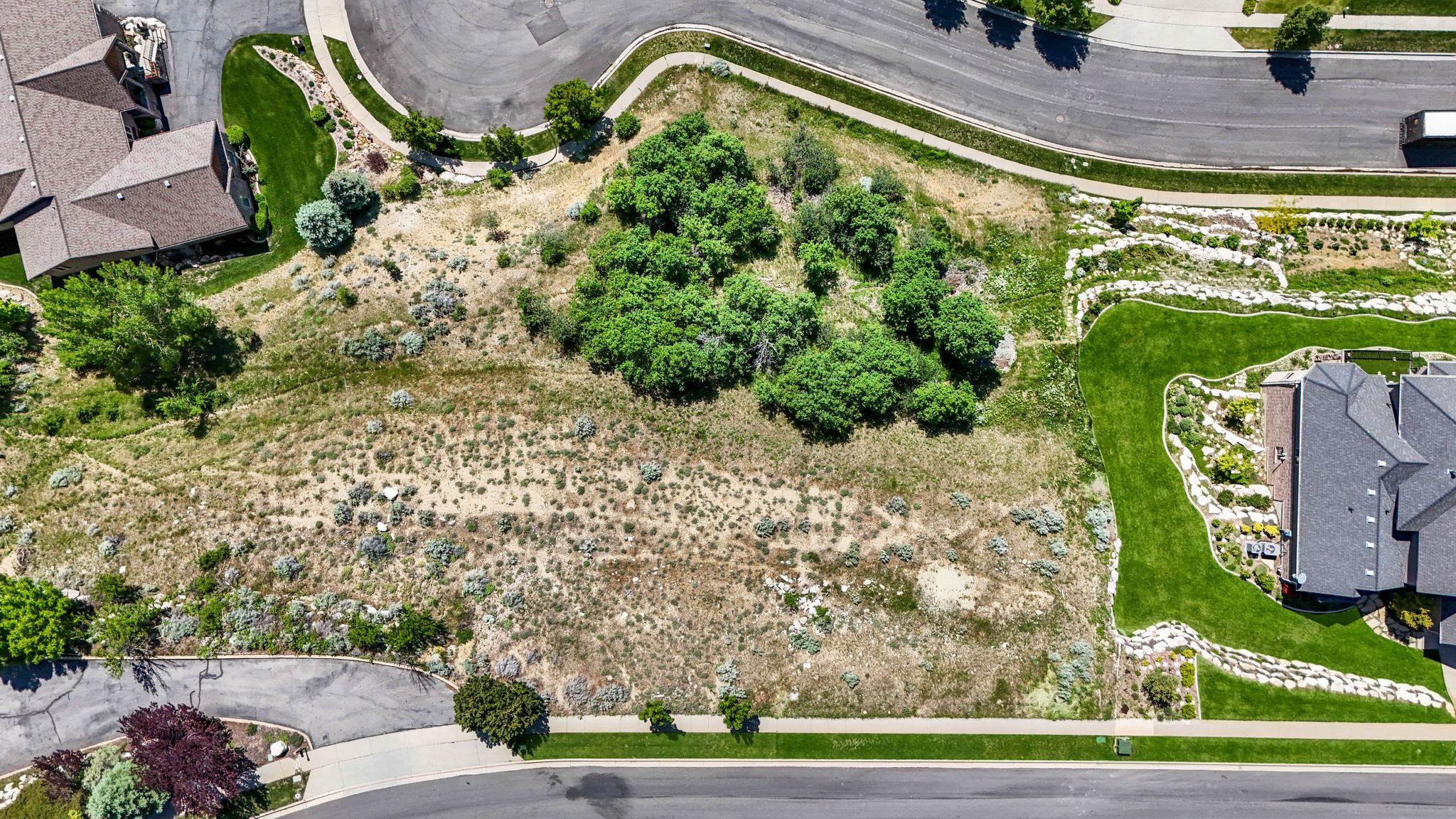 Expansive land parcel featuring natural vegetation and established surrounding residences