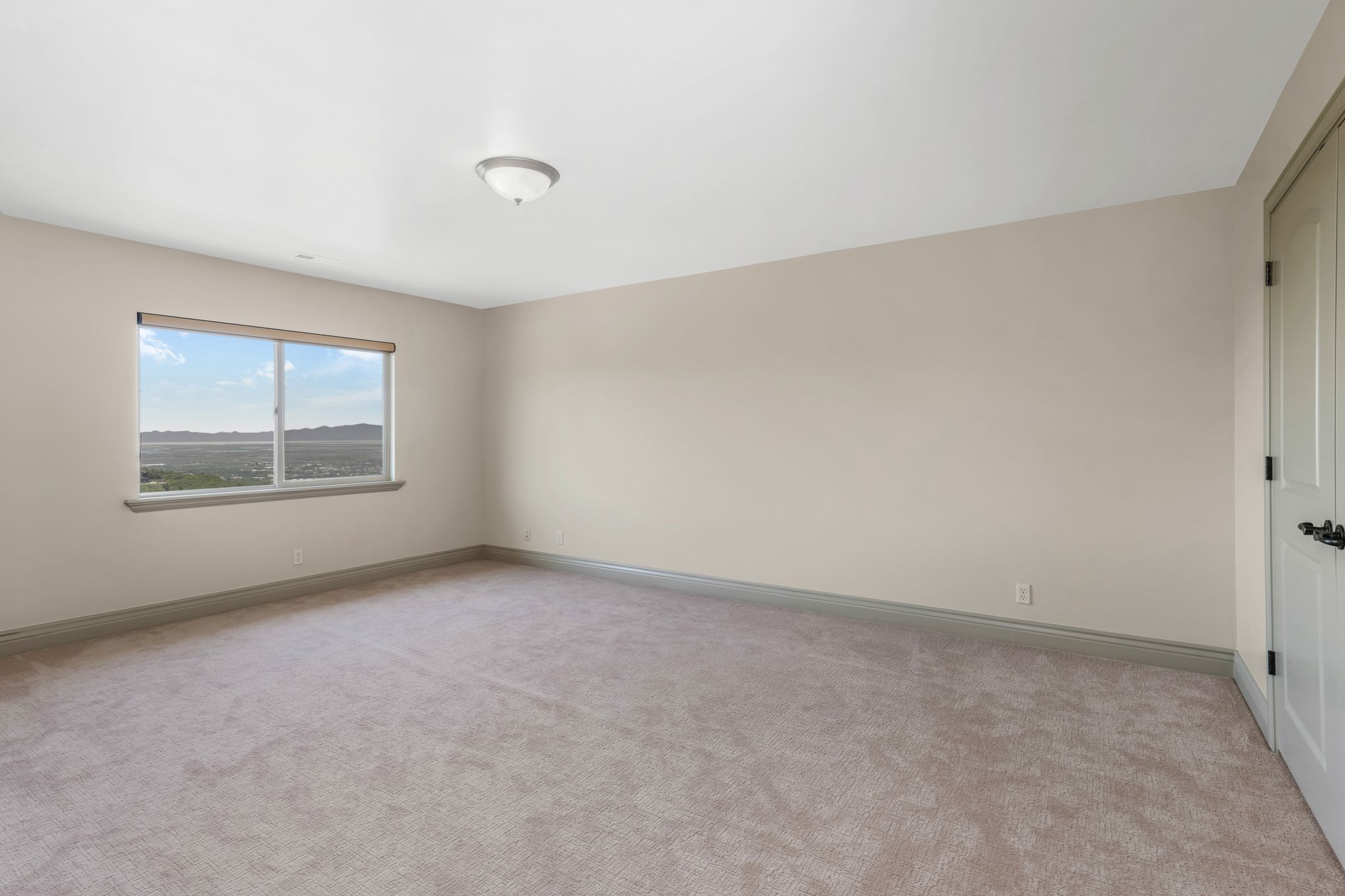 Spacious room featuring neutral carpet flooring, light-colored walls, a broad window with a distant landscape, a ceiling-mounted light fixture, and a paneled door with dark hardware