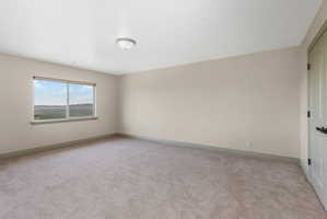 Spacious room featuring neutral carpet flooring, light-colored walls, a broad window with a distant landscape, a ceiling-mounted light fixture, and a paneled door with dark hardware