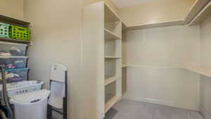 Spacious walk-in closet featuring built-in shelving, hanging rods, and light-colored carpeting