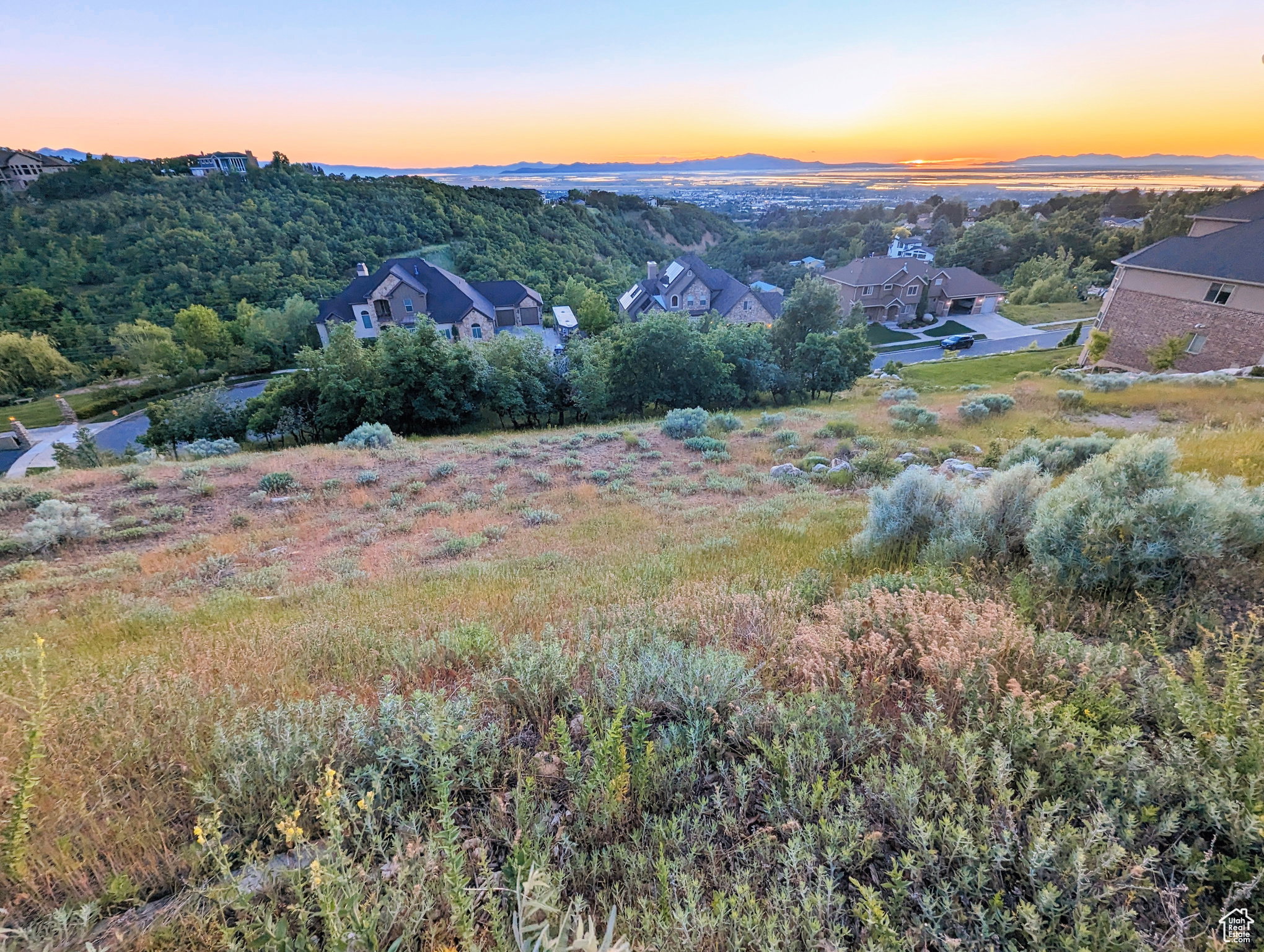 Expansive undeveloped land featuring diverse natural vegetation