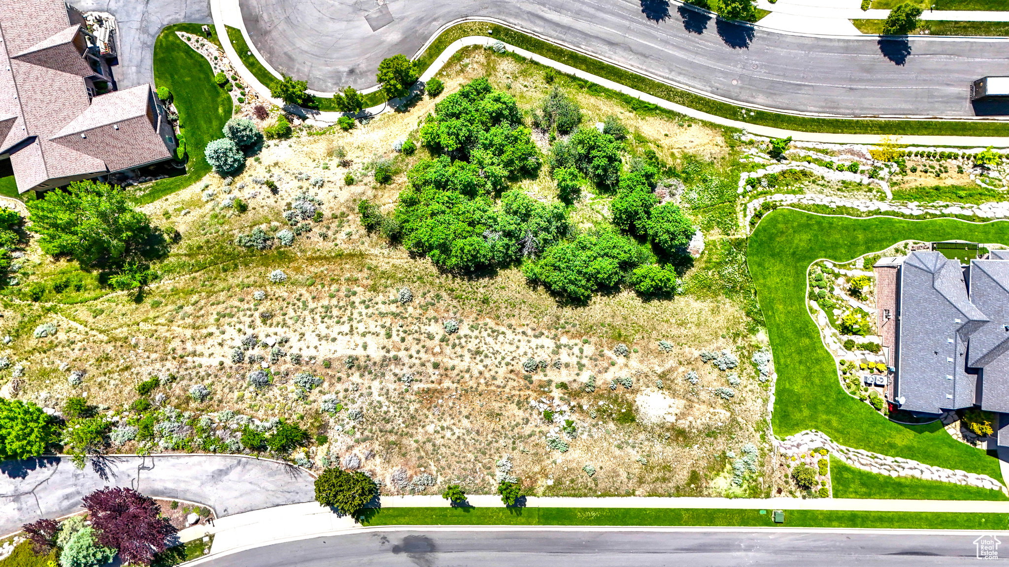 Expansive undeveloped lot featuring varied natural vegetation and scattered trees, bordered by paved roads and established residential properties