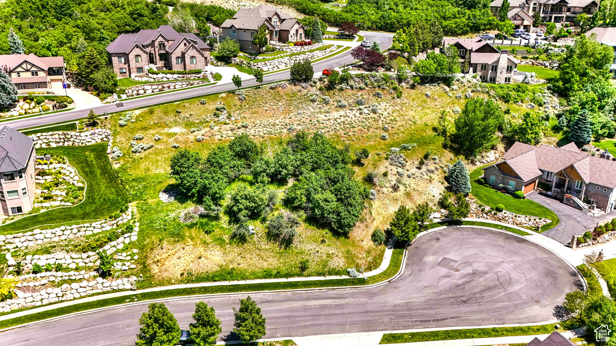 Expansive lot featuring varied terrain and mature trees