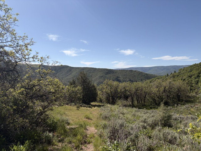 Expansive natural landscape featuring rolling hills and abundant green foliage