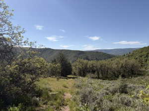 Expansive natural landscape featuring rolling hills and abundant green foliage