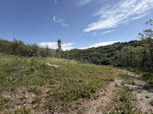 Expansive natural landscape with varied terrain