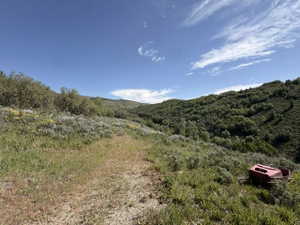Expansive natural landscape featuring rolling hills, mature trees, and natural vegetation under a clear blue sky