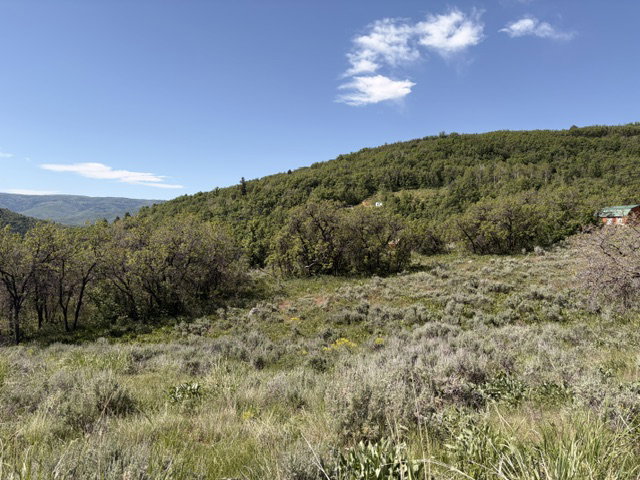 Expansive natural landscape featuring varied topography, mature deciduous trees, and distant wooded hillsides under a clear sky