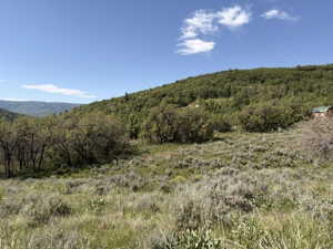 Expansive natural landscape featuring varied topography, mature deciduous trees, and distant wooded hillsides under a clear sky