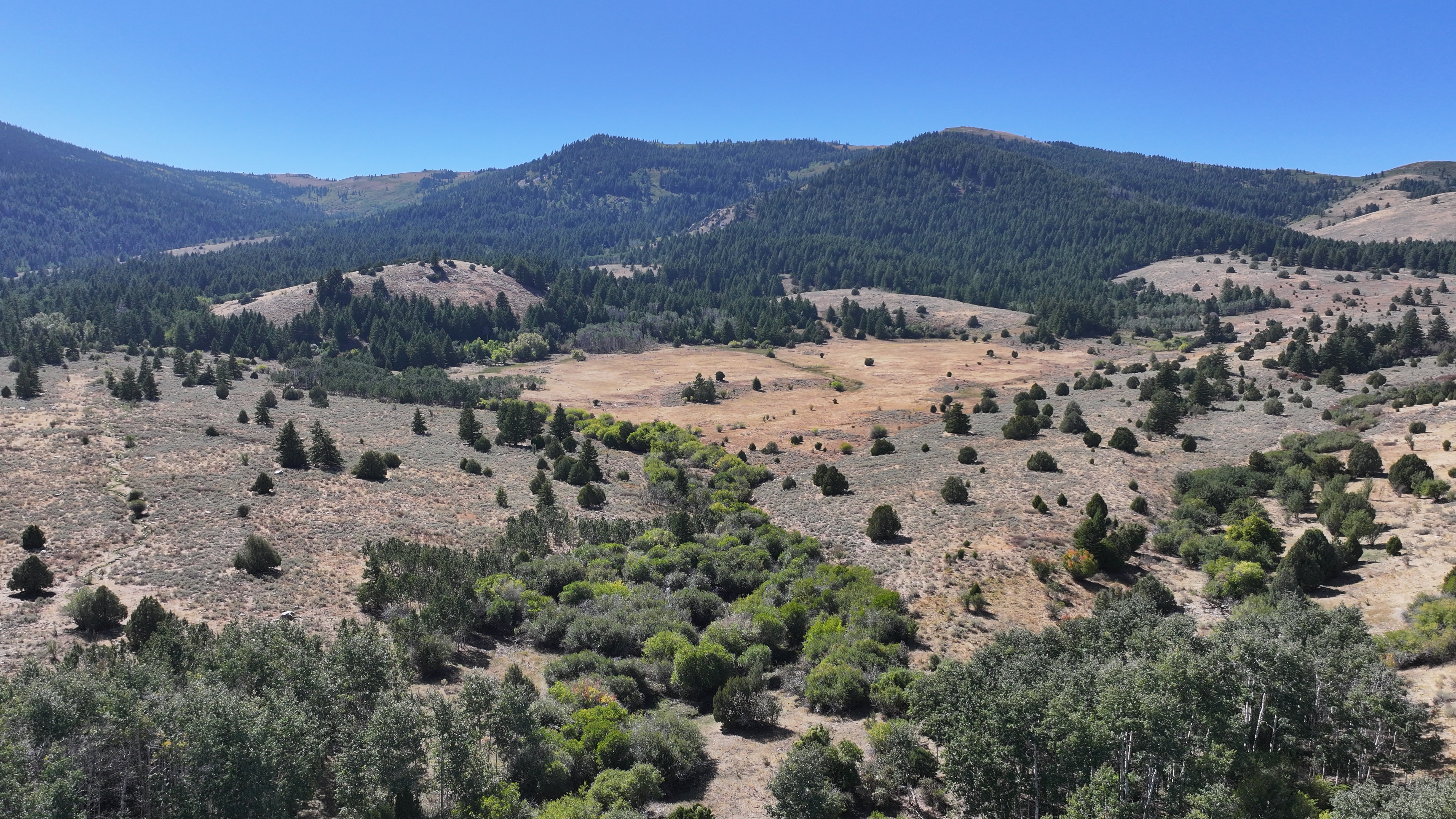 Expansive mountain landscape featuring varied terrain with a mix of evergreen and deciduous trees