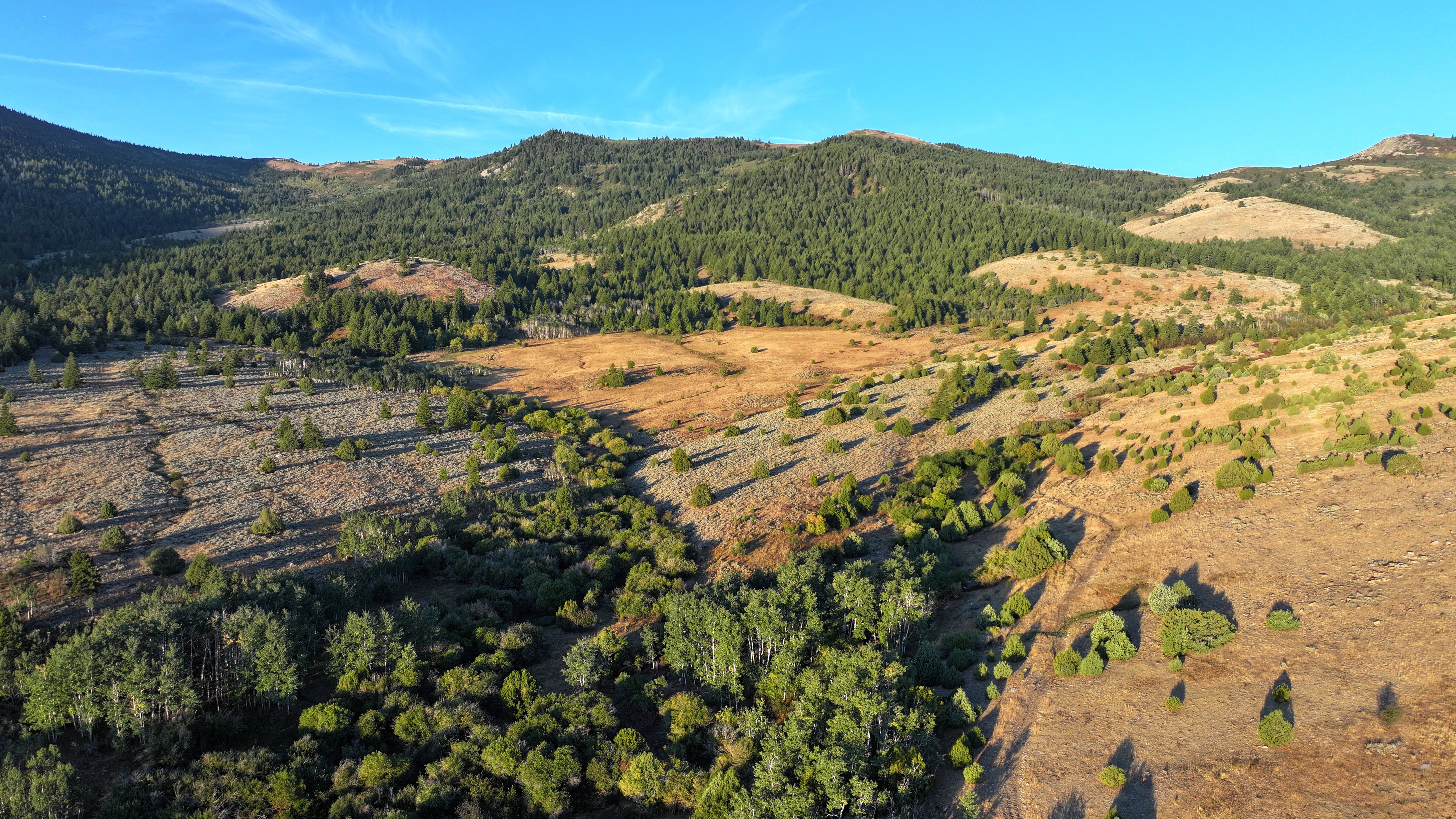 Expansive mountain terrain featuring diverse vegetation, including evergreen forests and patches of golden grass