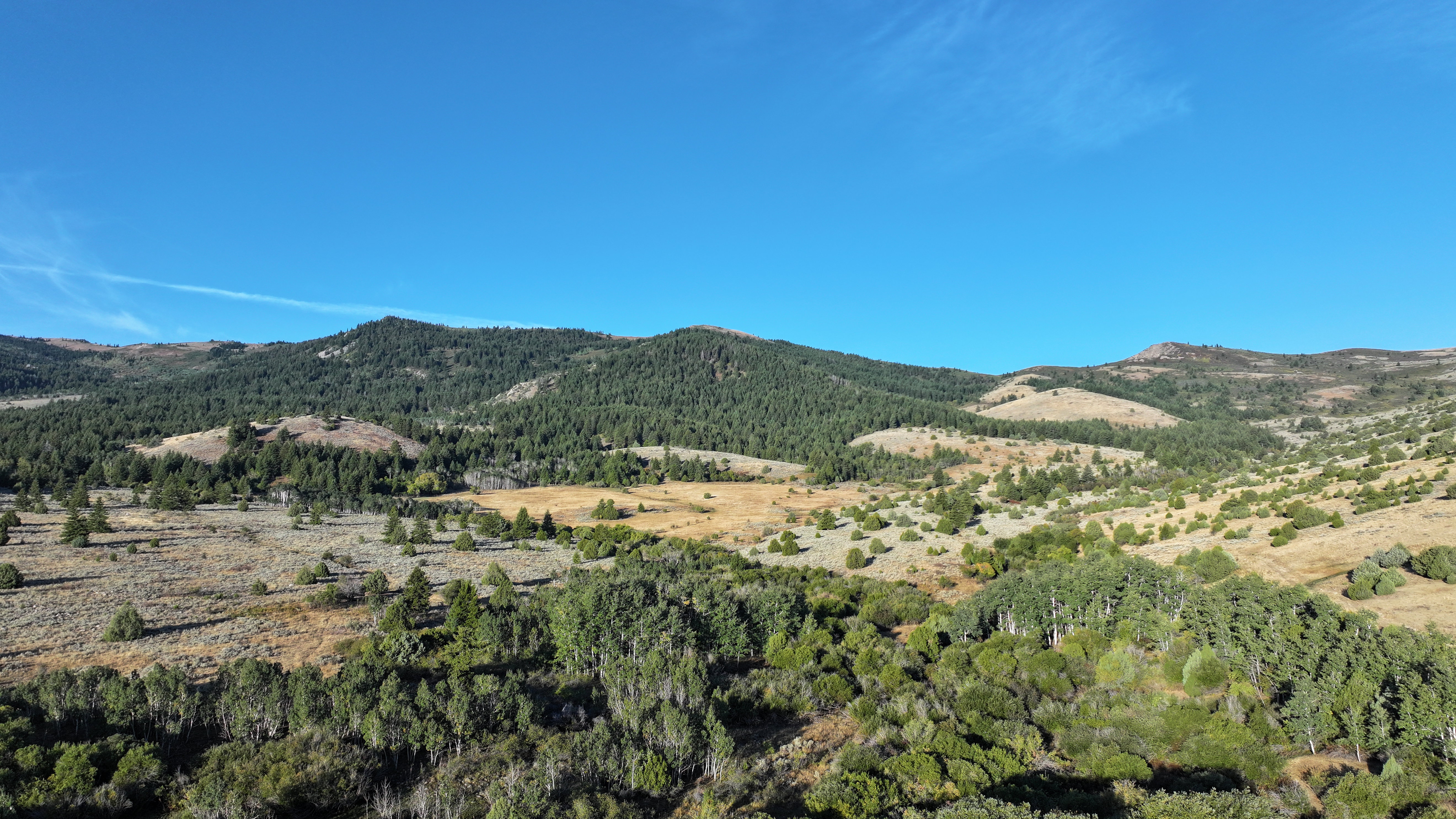 Expansive, tree-covered mountainside property featuring varied terrain, a clear blue sky, and diverse natural vegetation