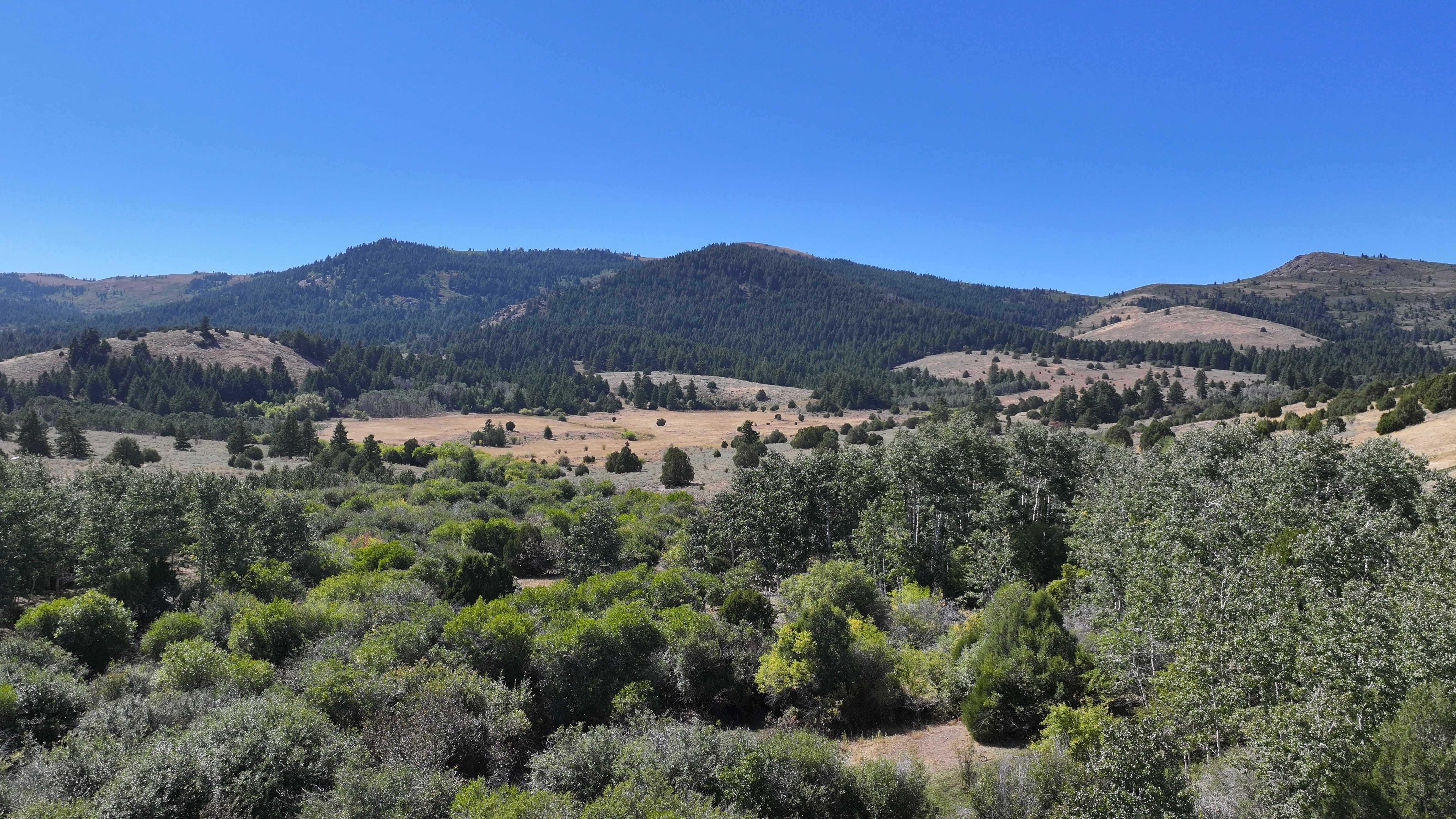 Expansive natural landscape featuring rolling hills and diverse vegetation