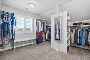 Spacious walk-in closet featuring extensive built-in shelving, hanging rods, and plush carpeting