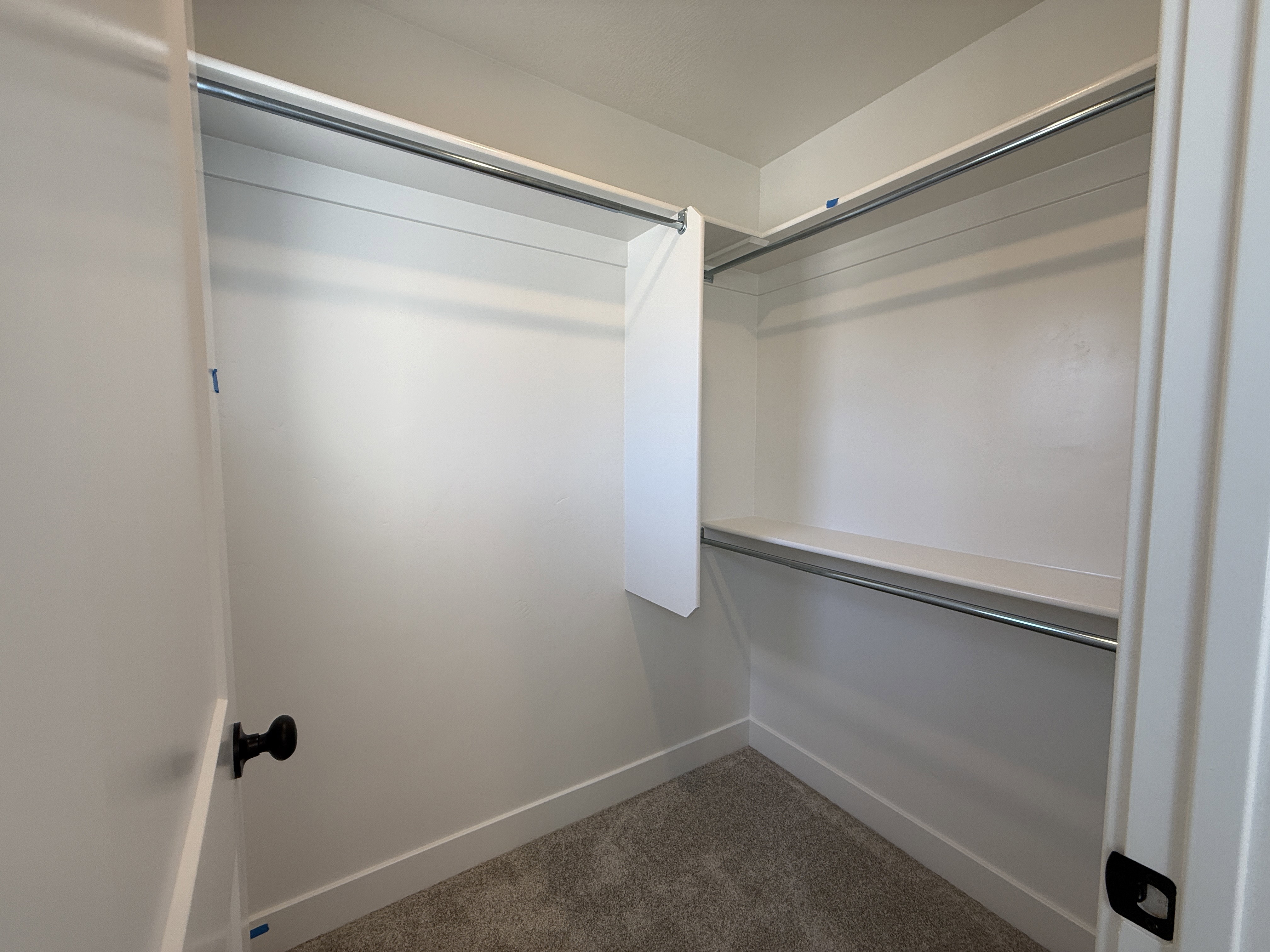 Walk-in closet with carpet flooring, white walls, built-in shelving, and chrome hanging rods