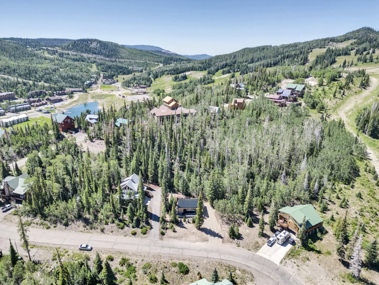 Mountainous landscape with dense coniferous and deciduous trees, featuring multiple residential properties