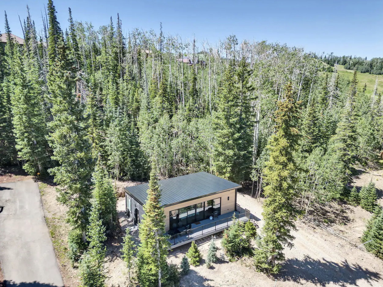 Modern cabin nestled among dense evergreen and deciduous trees