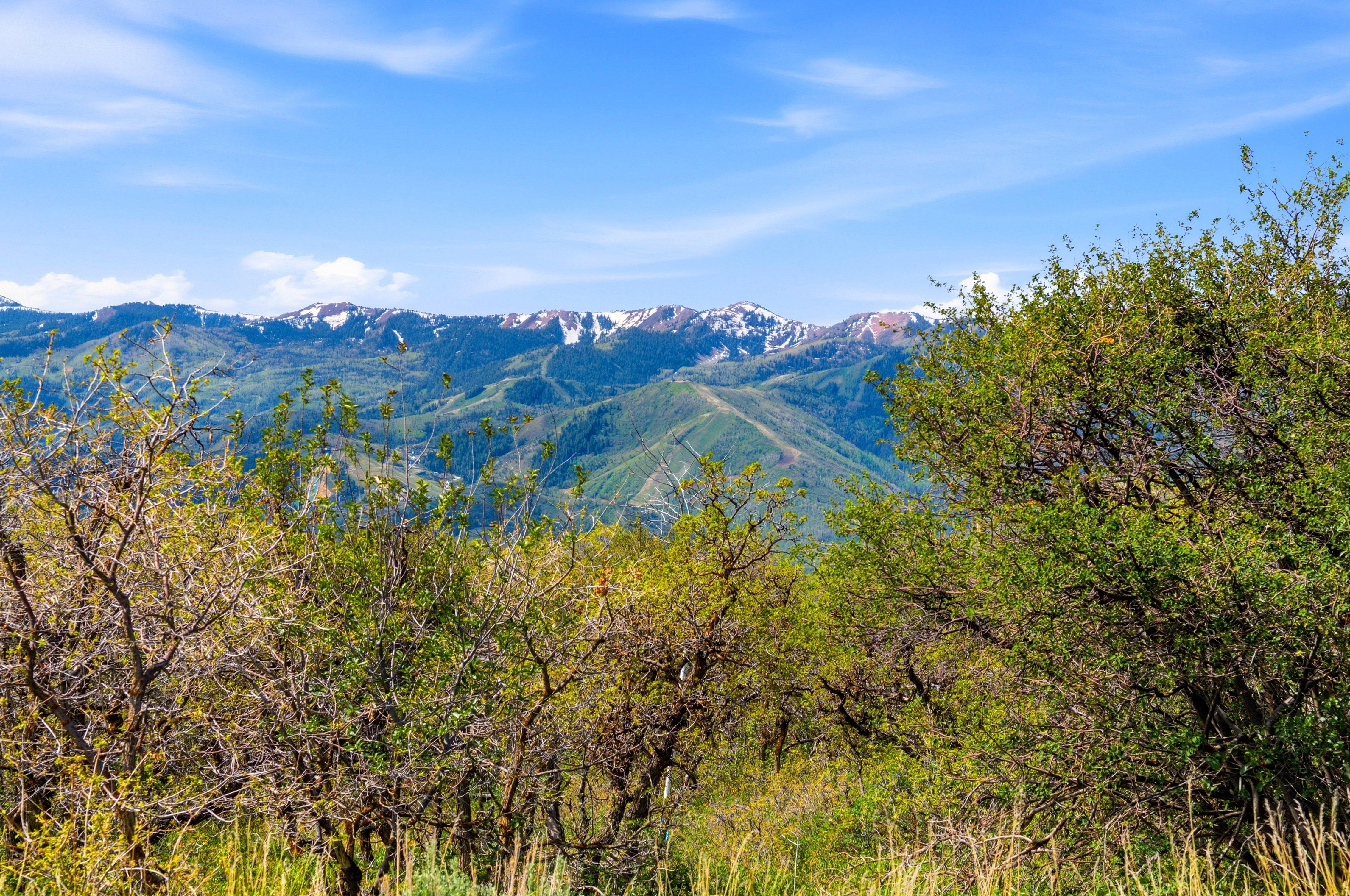Mountainous landscape featuring snow-capped peaks and verdant foothills under a clear sky