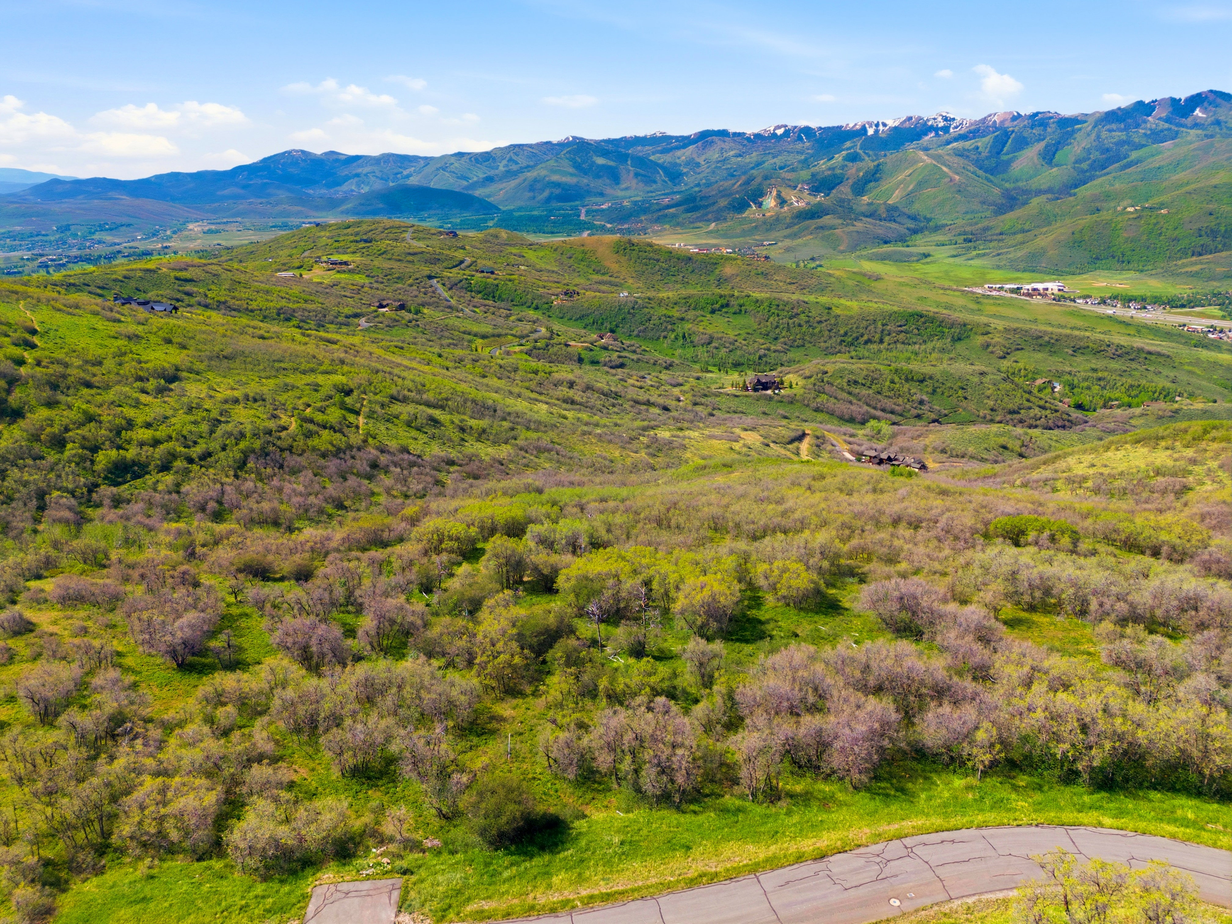 Expansive mountain landscape featuring varied green foliage across rolling hills