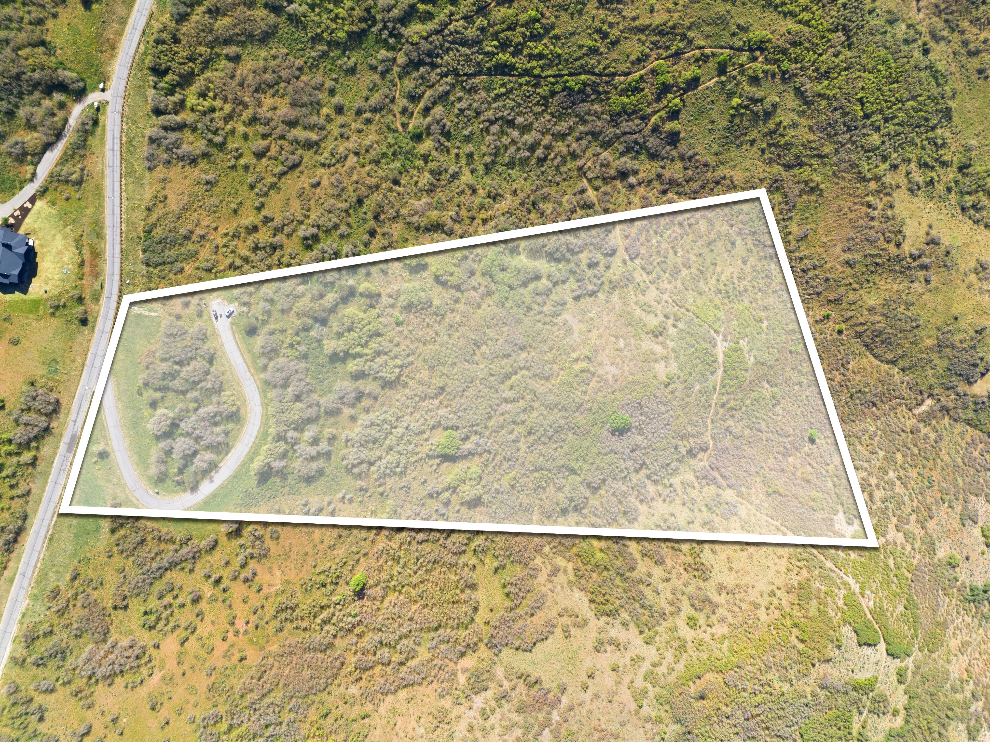 Expansive rectangular lot featuring natural vegetation and a paved driveway with a turnaround