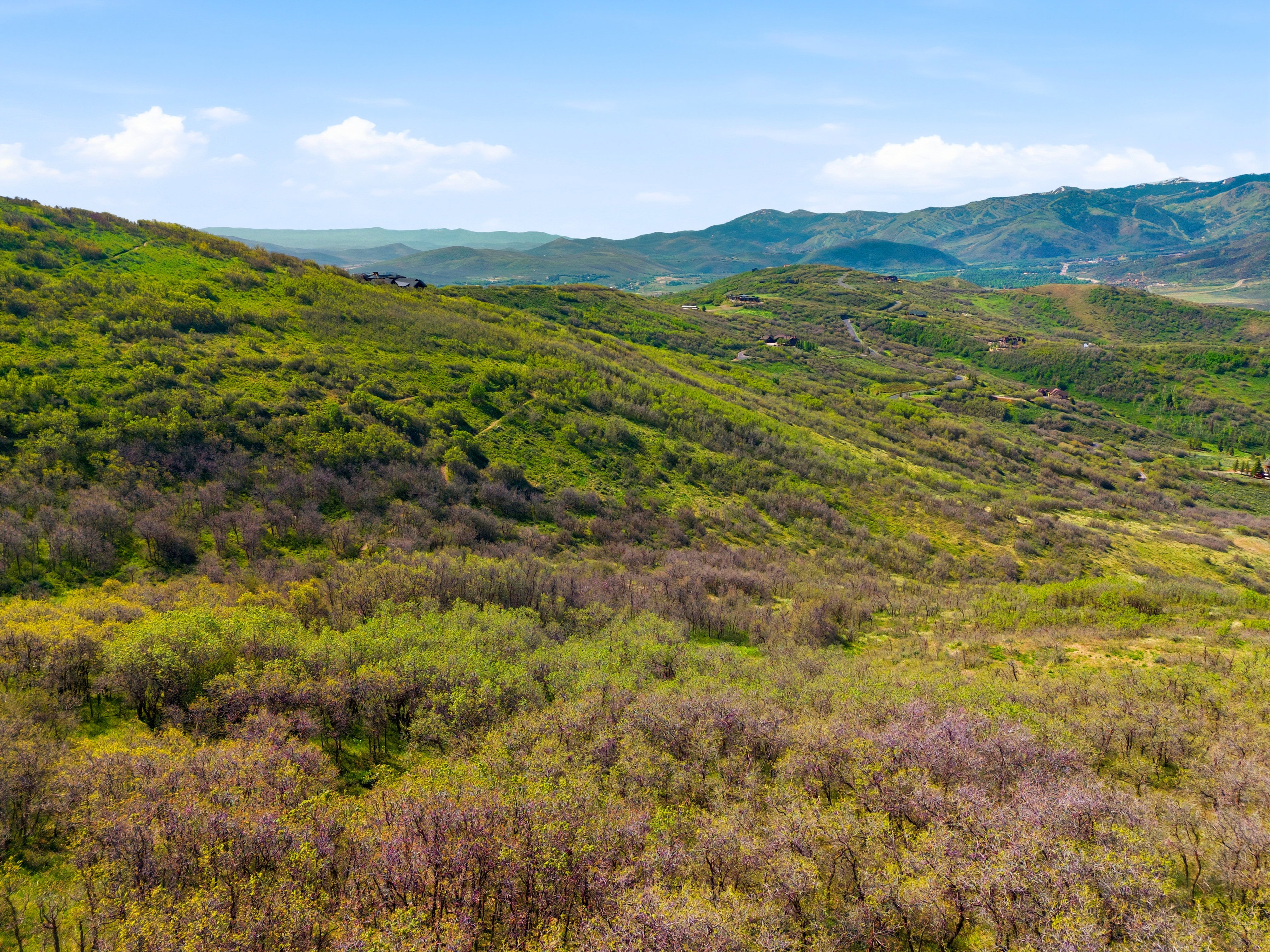 Expansive mountain landscape featuring varied green foliage across rolling hillsides