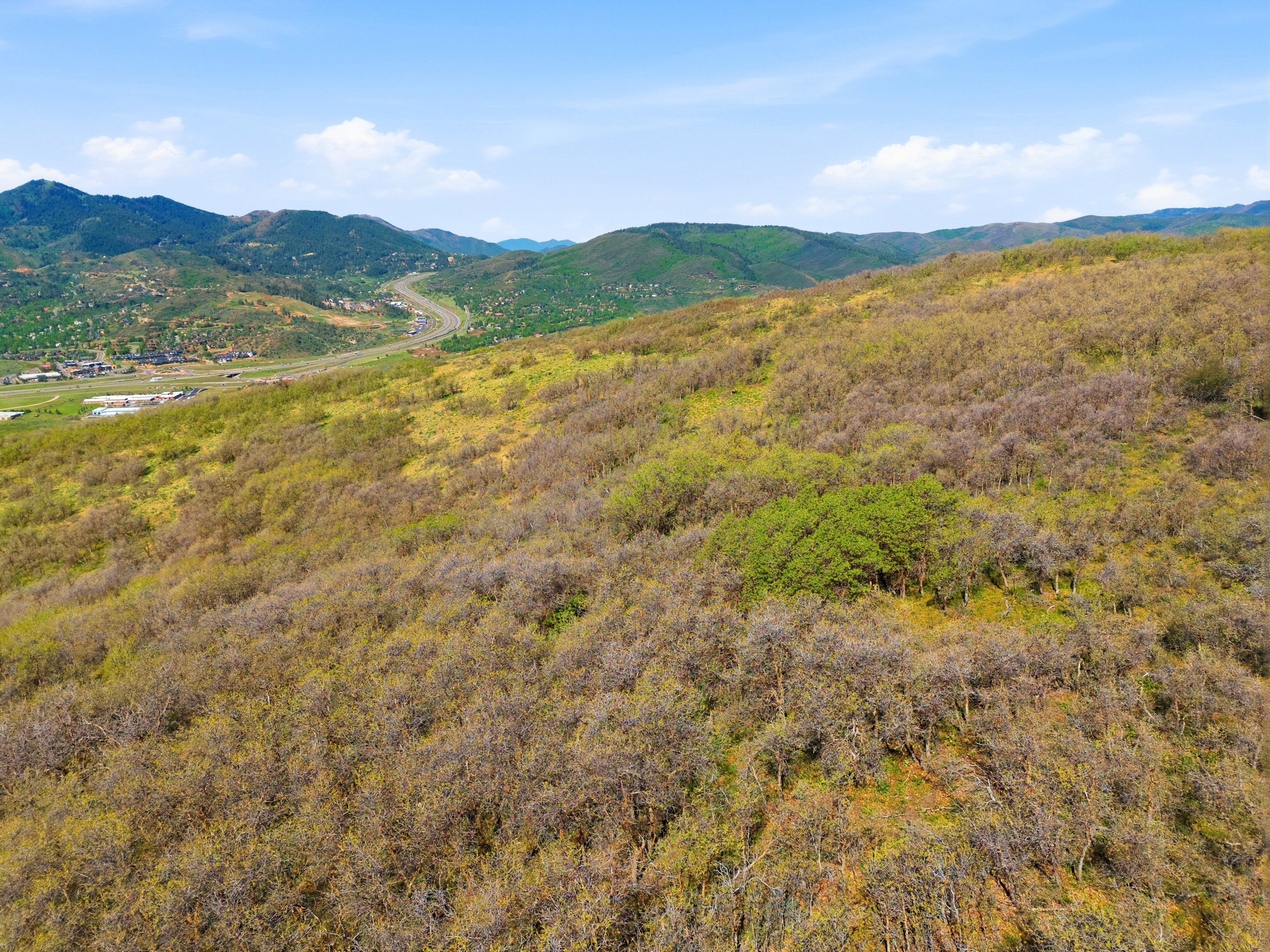 Expansive hillside property featuring diverse brush and scattered trees