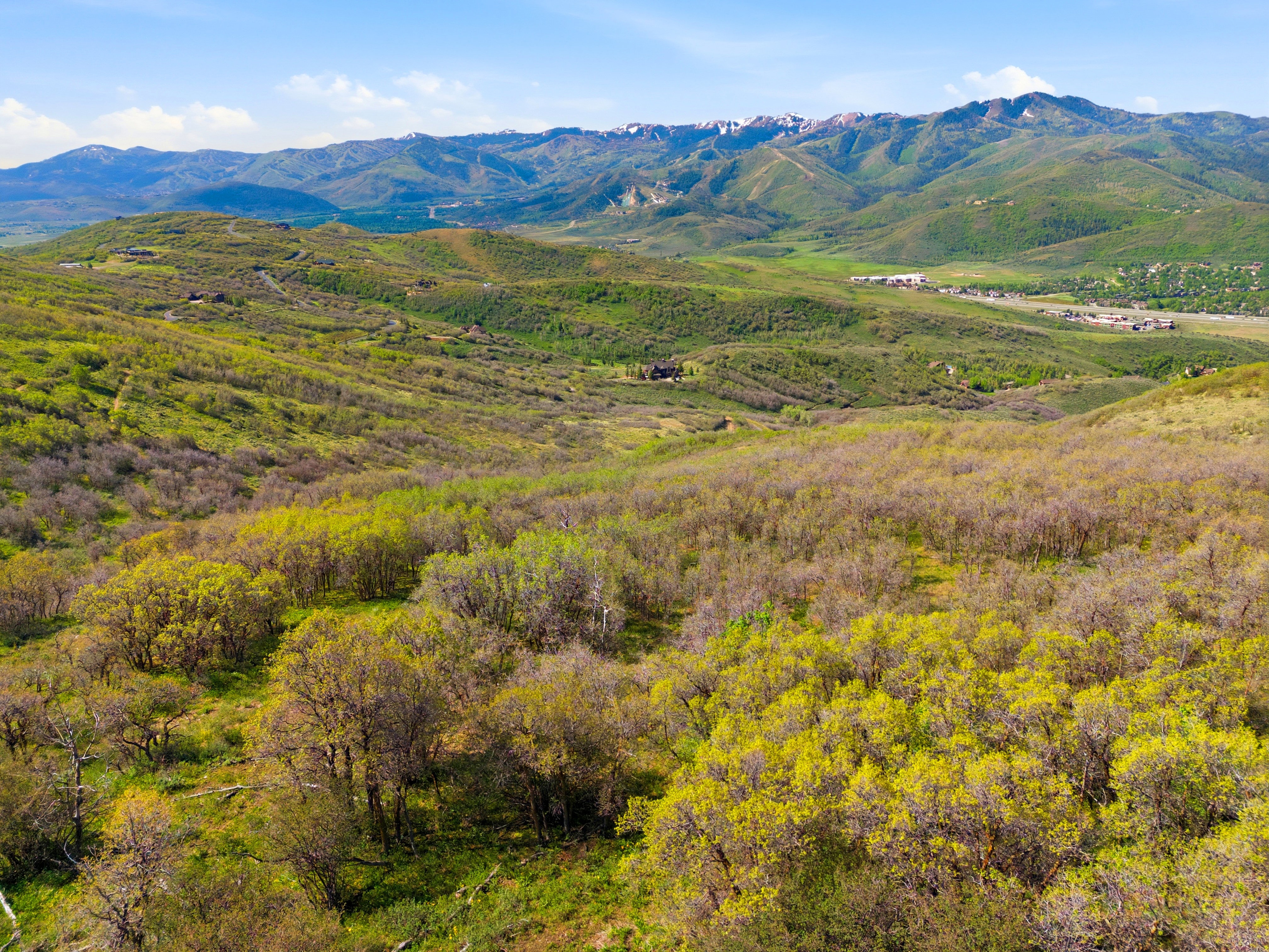 Expansive mountain landscape featuring varied green foliage across rolling hills