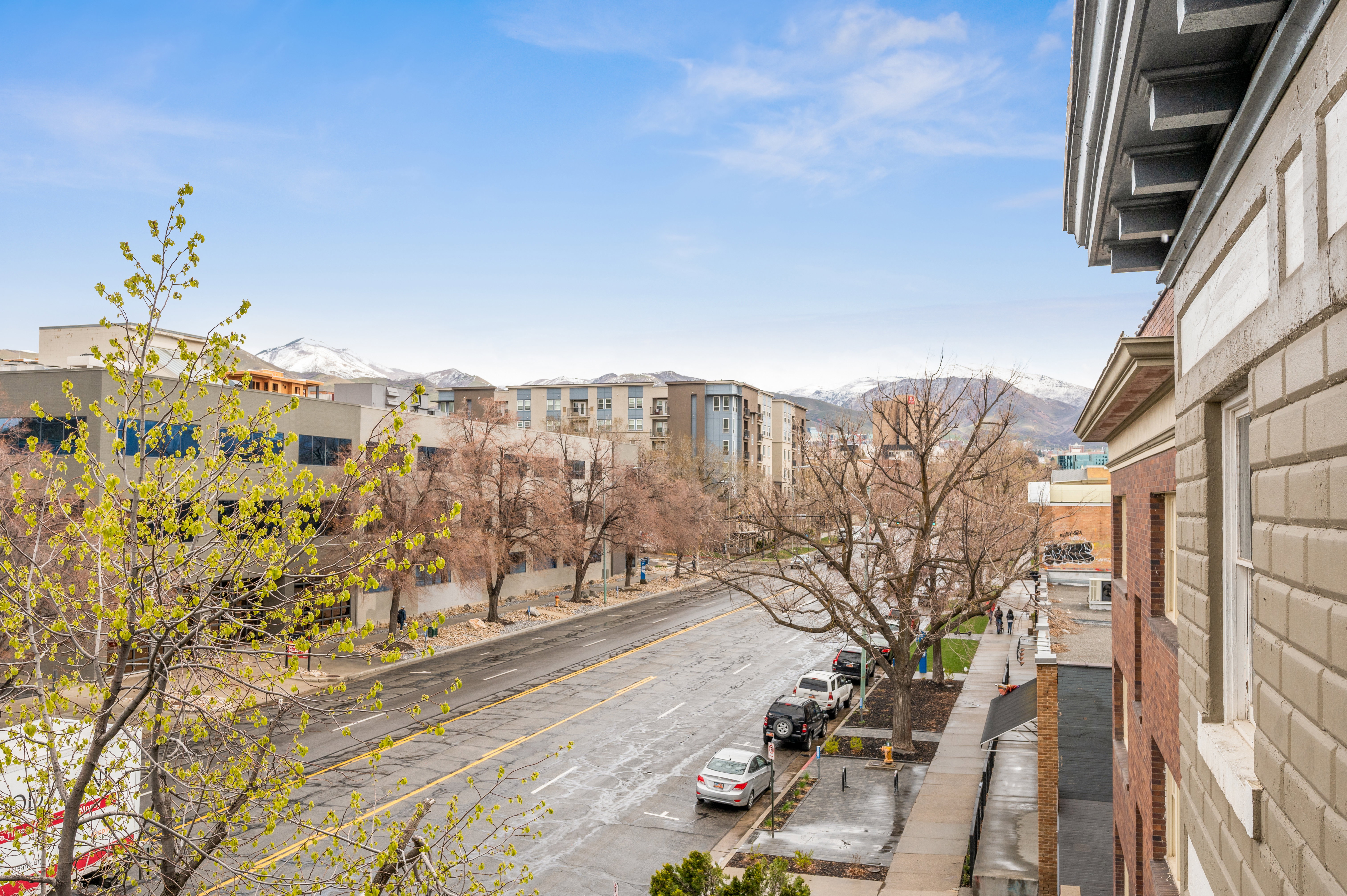 Streetscape featuring mature trees and mountain scenery in the distance