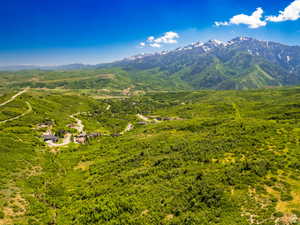 Expansive mountainous landscape featuring verdant foliage and snow-capped peaks