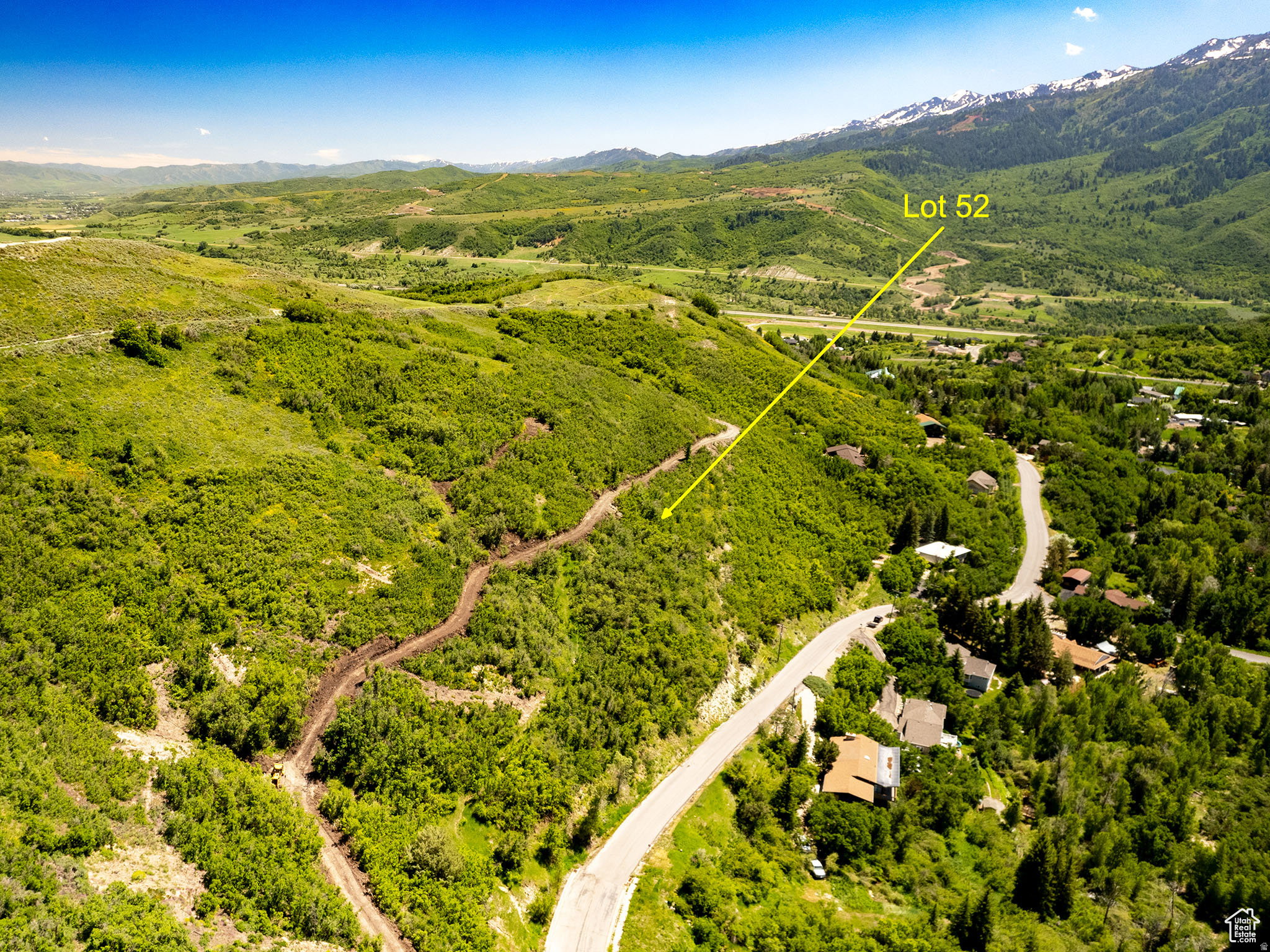 Rolling green landscape featuring distant snow-capped mountains and a winding paved road