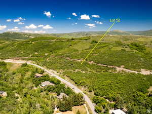 Expansive hillside lot featuring abundant natural vegetation