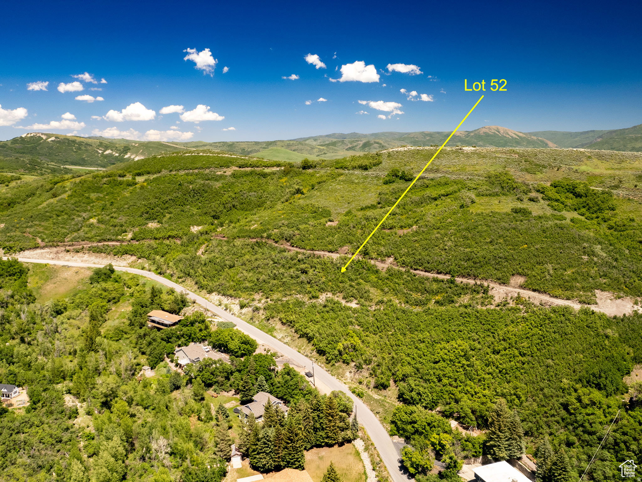 Expansive hillside lot featuring abundant natural vegetation