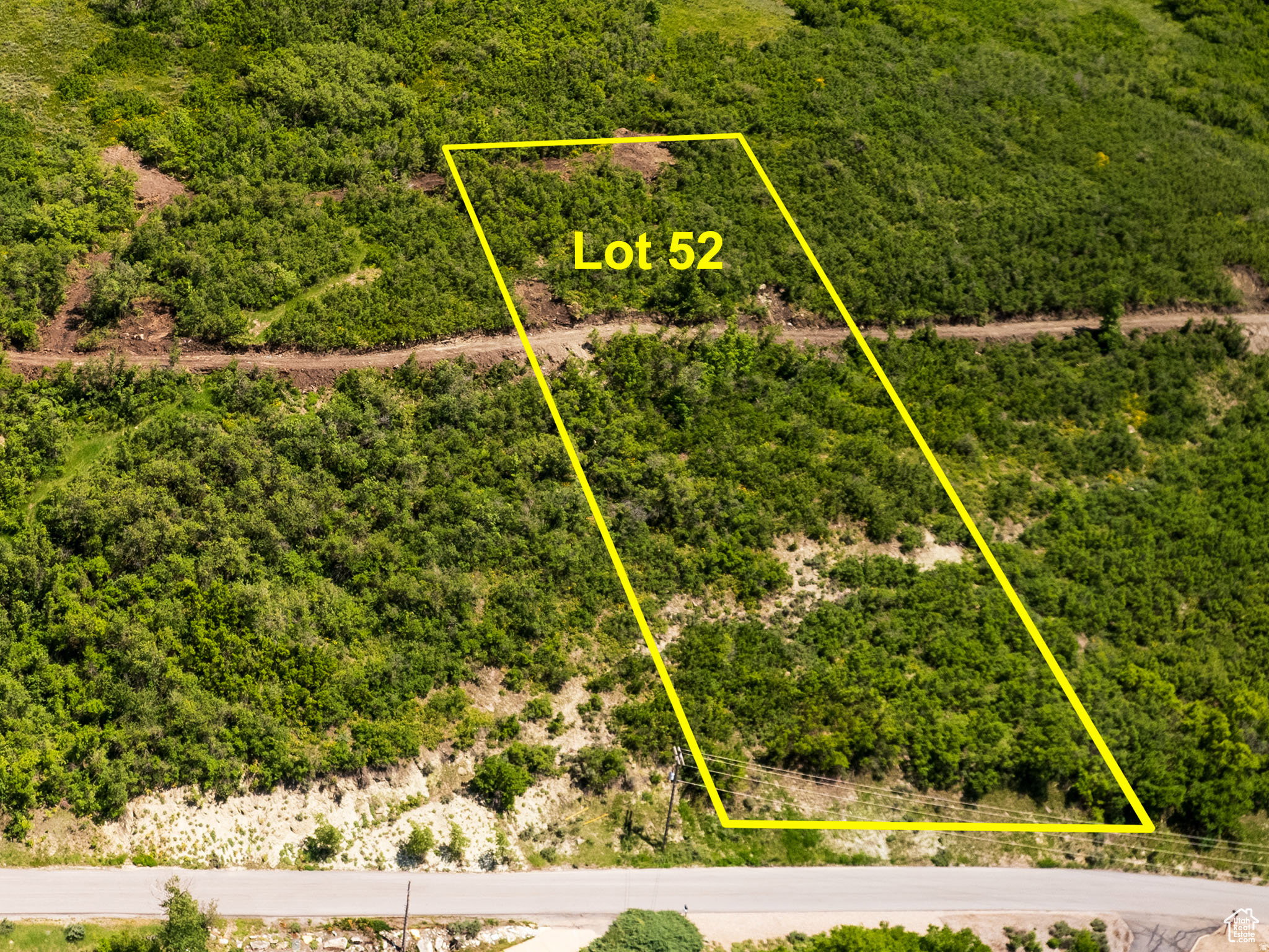 Aerial perspective of a verdant, undeveloped lot (Lot 52) featuring natural shrubbery and a gentle slope