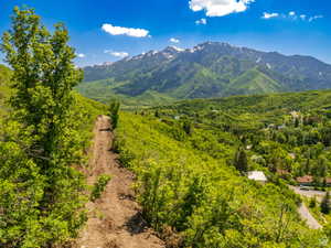 Expansive mountain backdrop with snow-capped peaks