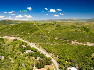 Expansive undeveloped lot with sloping terrain and abundant natural vegetation