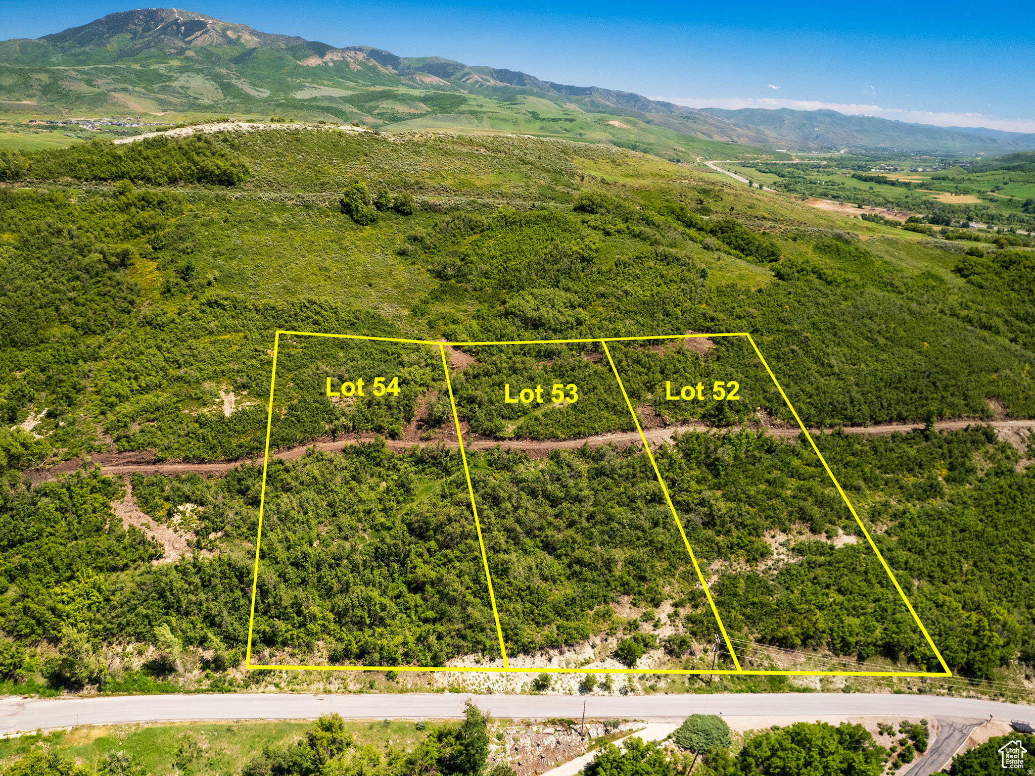 Aerial depiction of three distinct land lots, each marked with a lot number (Lot 52, Lot 53, Lot 54)