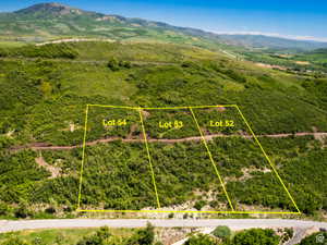 Aerial depiction of three distinct land lots, each marked with a lot number (Lot 52, Lot 53, Lot 54)