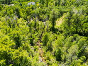 Wooded hillside property featuring a natural creek bed