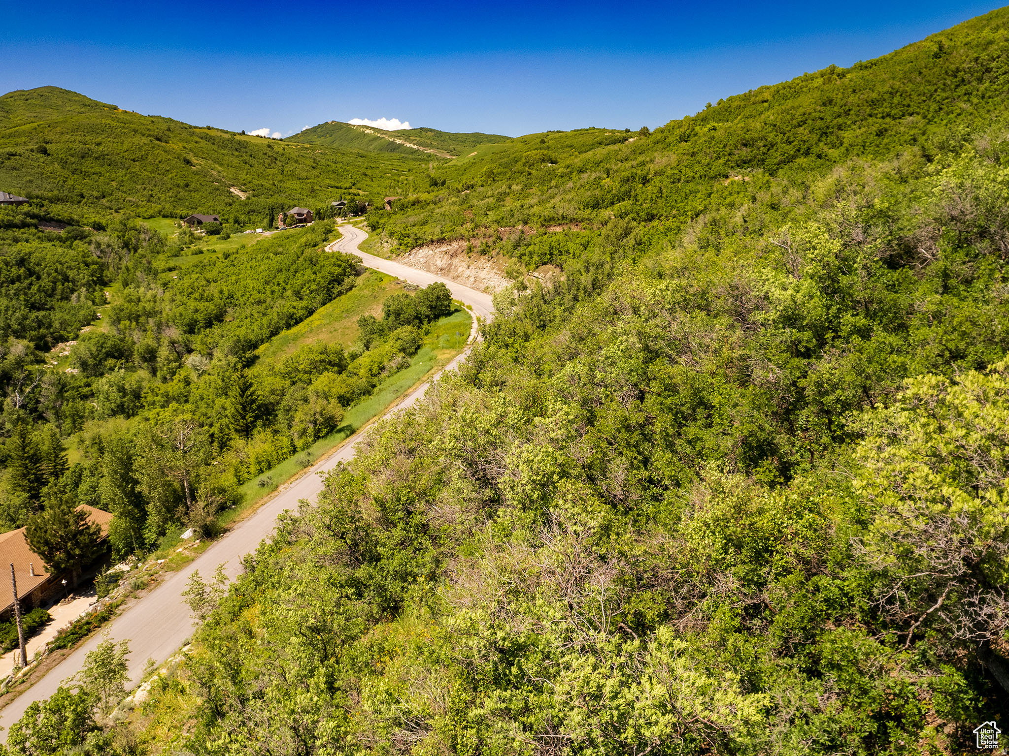 Winding paved road ascending through verdant, tree-covered hillsides under a clear blue sky