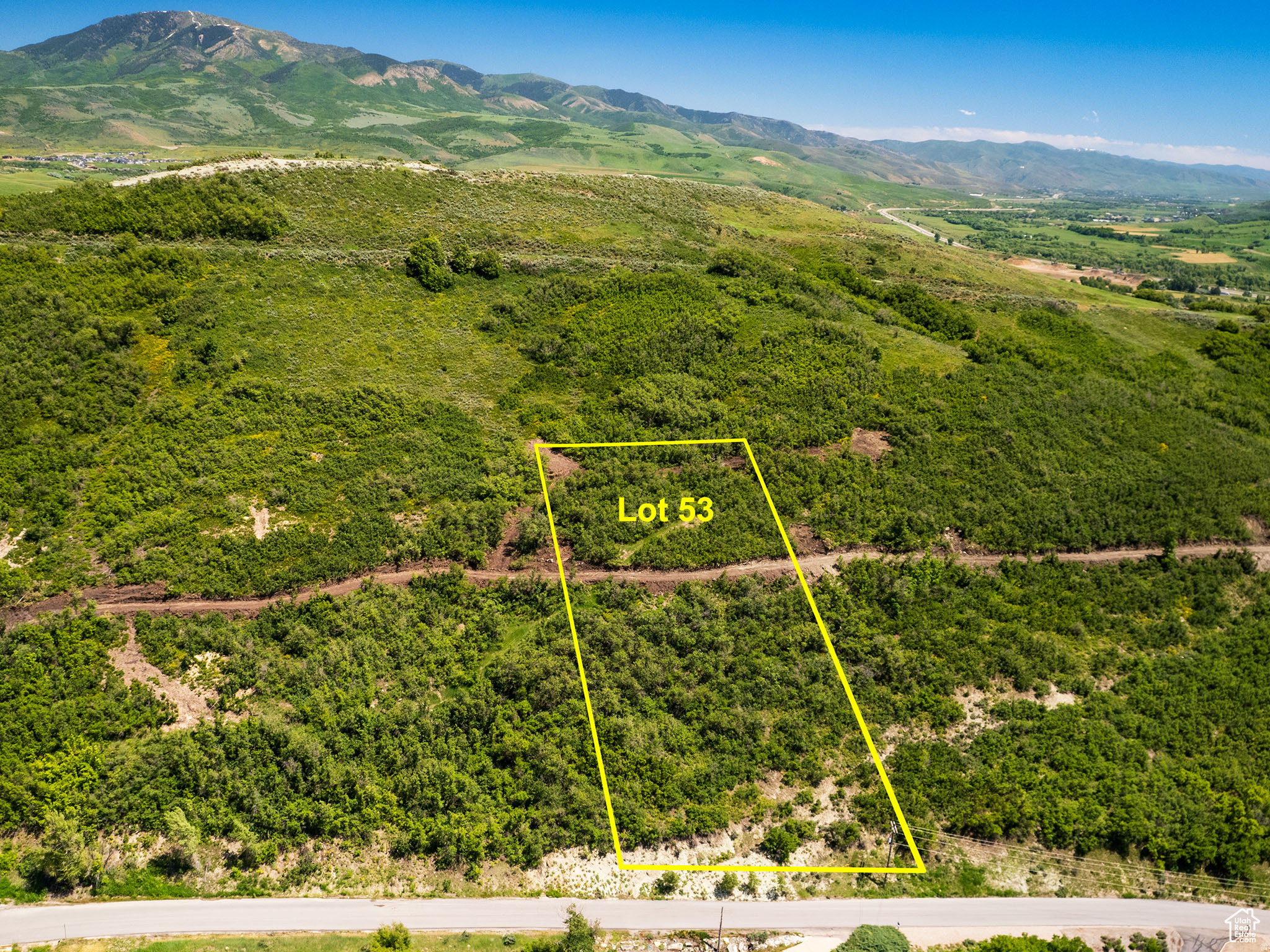 Expansive land parcel "Lot 53" featuring varied topography, abundant natural foliage, and a mountainous backdrop
