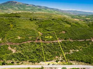 Expansive land parcel "Lot 53" featuring varied topography, abundant natural foliage, and a mountainous backdrop