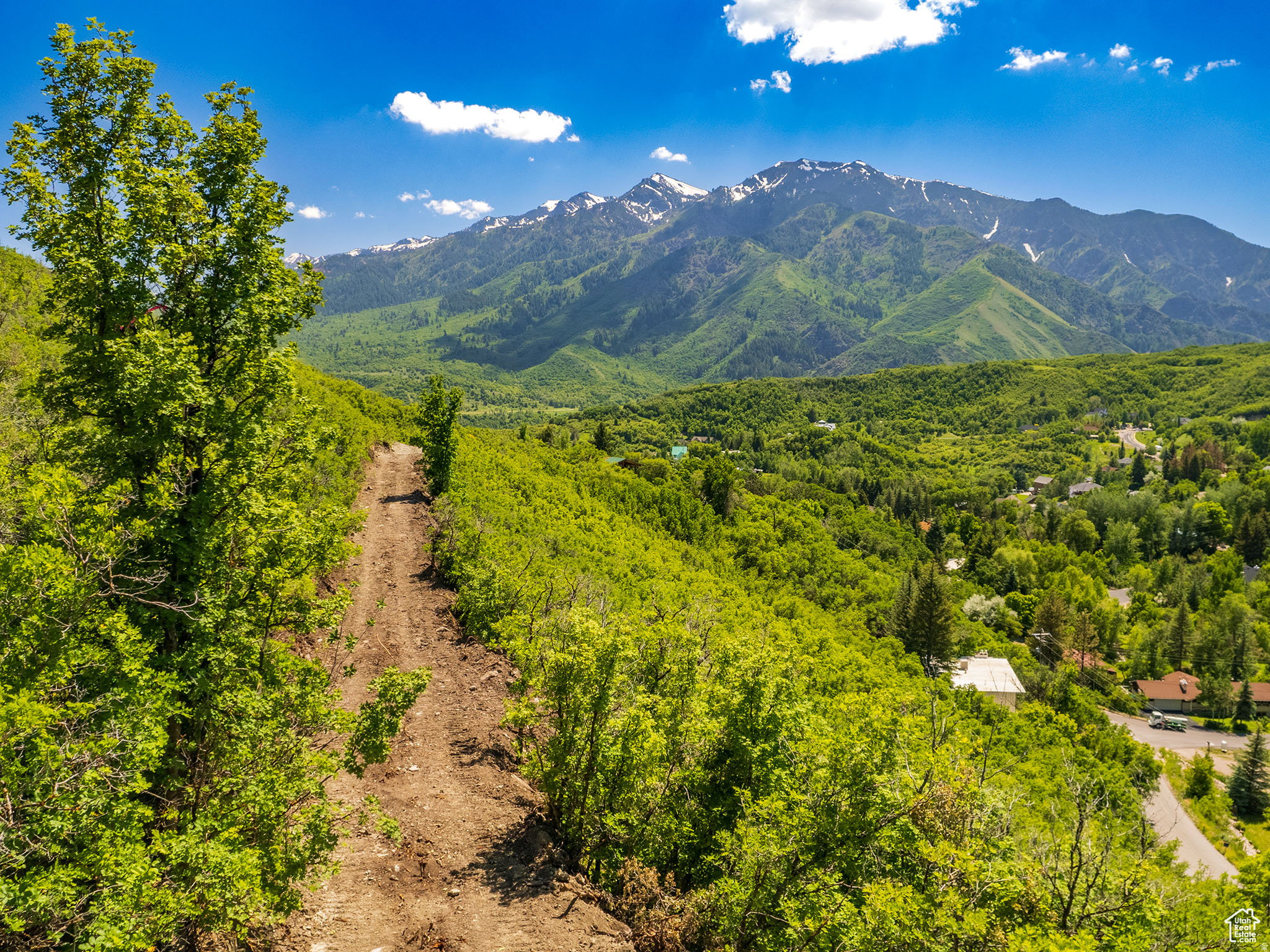 Expansive mountain backdrop with snow-capped peaks