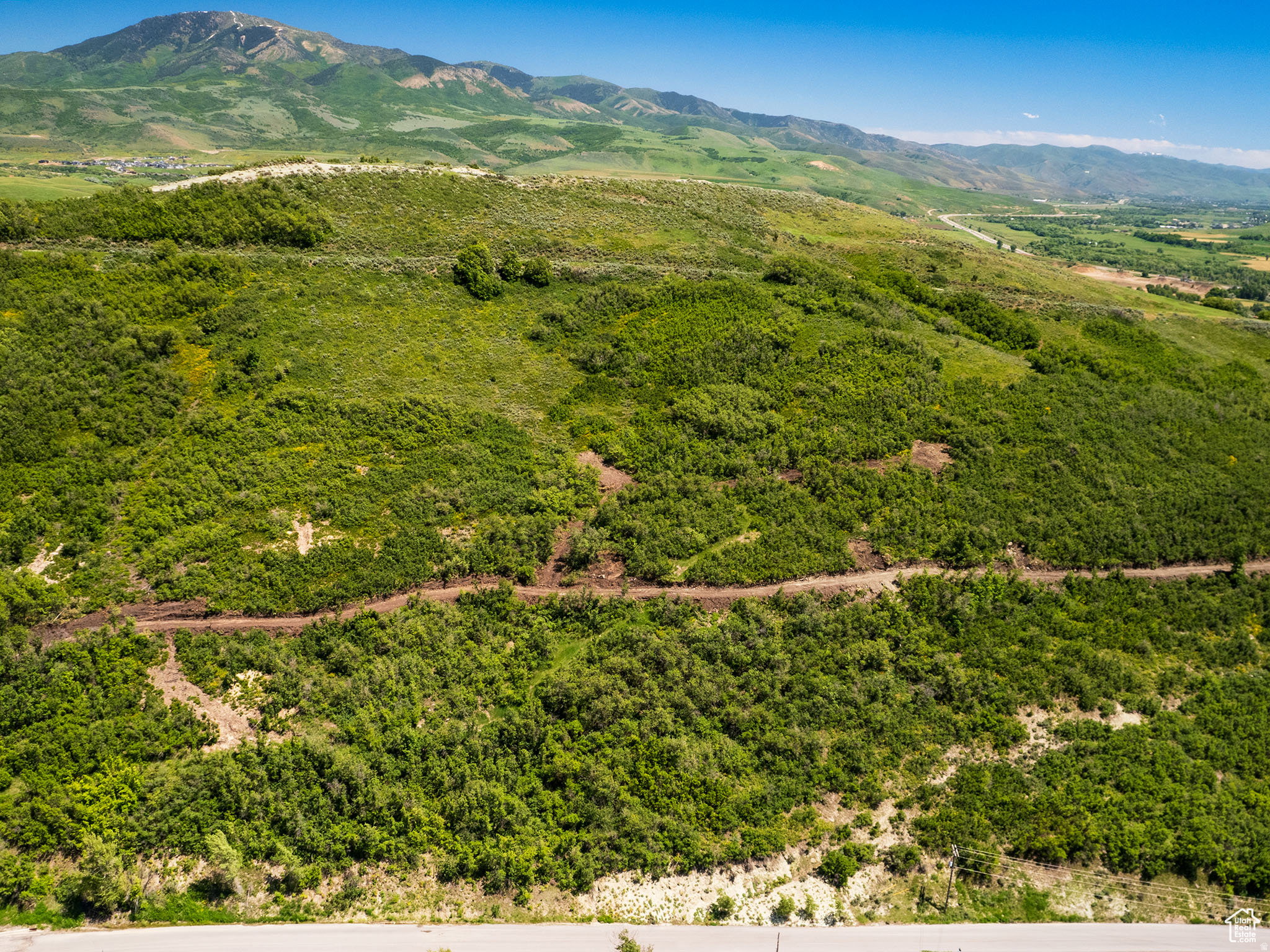 Expansive green hillside property featuring mountainous terrain and a distant mountain backdrop